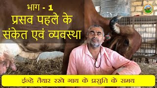 गाय या पशु के प्रसव समय के संकेत एवं व्यवस्था | Before Cattle Delivery Arrangements Resimi