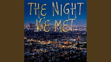 The Night We Met (Instrumental)