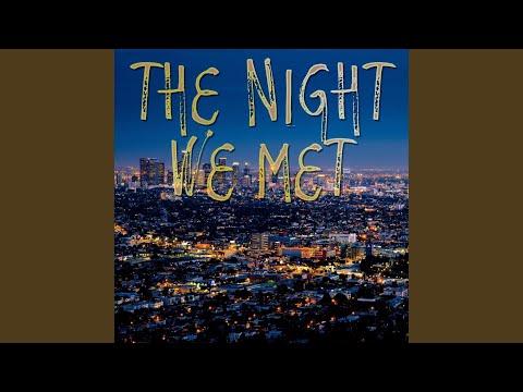 The Night We Met (Instrumental)