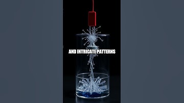 The Mesmerizing Magnetic Liquid Art Experiment