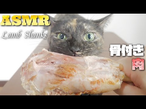 【ASMR】骨付き肉を食べたら野生を思い出した猫の咀嚼音??? Cat Eating Lamb Shanks