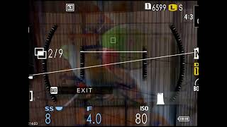 GFX100RF Multiple Exposure SOOC