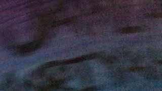 Clic Caillou Gets Banned From Robloxgrounded