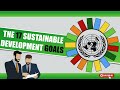 Sustainable Development Goals - EXPLAINED in 5 minutes! (SDG’s)🌎🍀