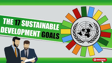 Sustainable Development Goals (SDG’s) Explained in 5 Minutes! 