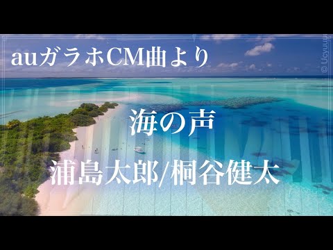 浦島太郎(桐谷健太) / 海の声