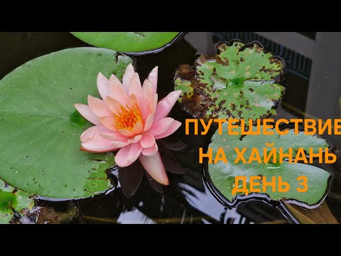 ХАЙНАНЬ.САНЬЯ.БУХТА ЯЛОНГБЕЙ, МОРЕ НЕОБЫЧНОЕ,УЖИН,ПРОГУЛКА,УЛИЧНАЯ ЕДА