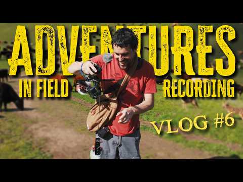 Coyotes, Cows, and Cardioids: A Sound Design Adventure Vlog #6