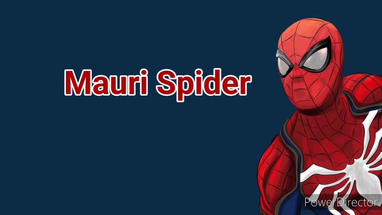 Mauri spider mi spider sona