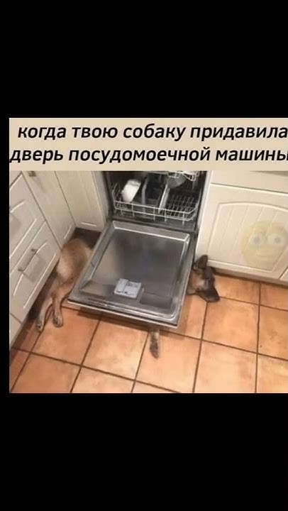 самый популярный мем / #baraneza - YouTube
