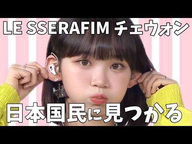 チェウォン様　②ページ目 LE SSERAFIM】めざましテレビのチェウォンを見た日本国民の反応