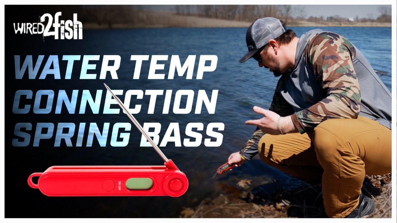 Bank Fishing Ponds for Spring Bass