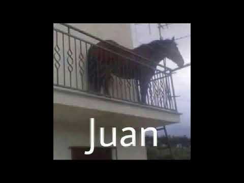 JUAN MEME