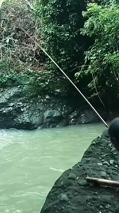 cuma ikan segini#streekbabon#mancingliar