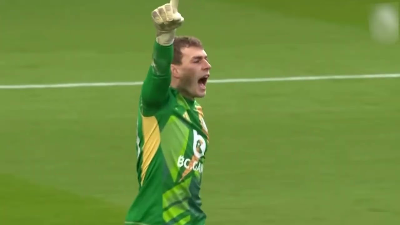 TOP 10 EPL SAVES 2024/2025