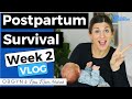 OBGYN Mom Shares Favorites + How to Survive Week 2 Postpartum | VLOG