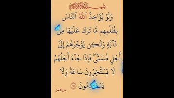 سورة النحل الآية ( 61 )