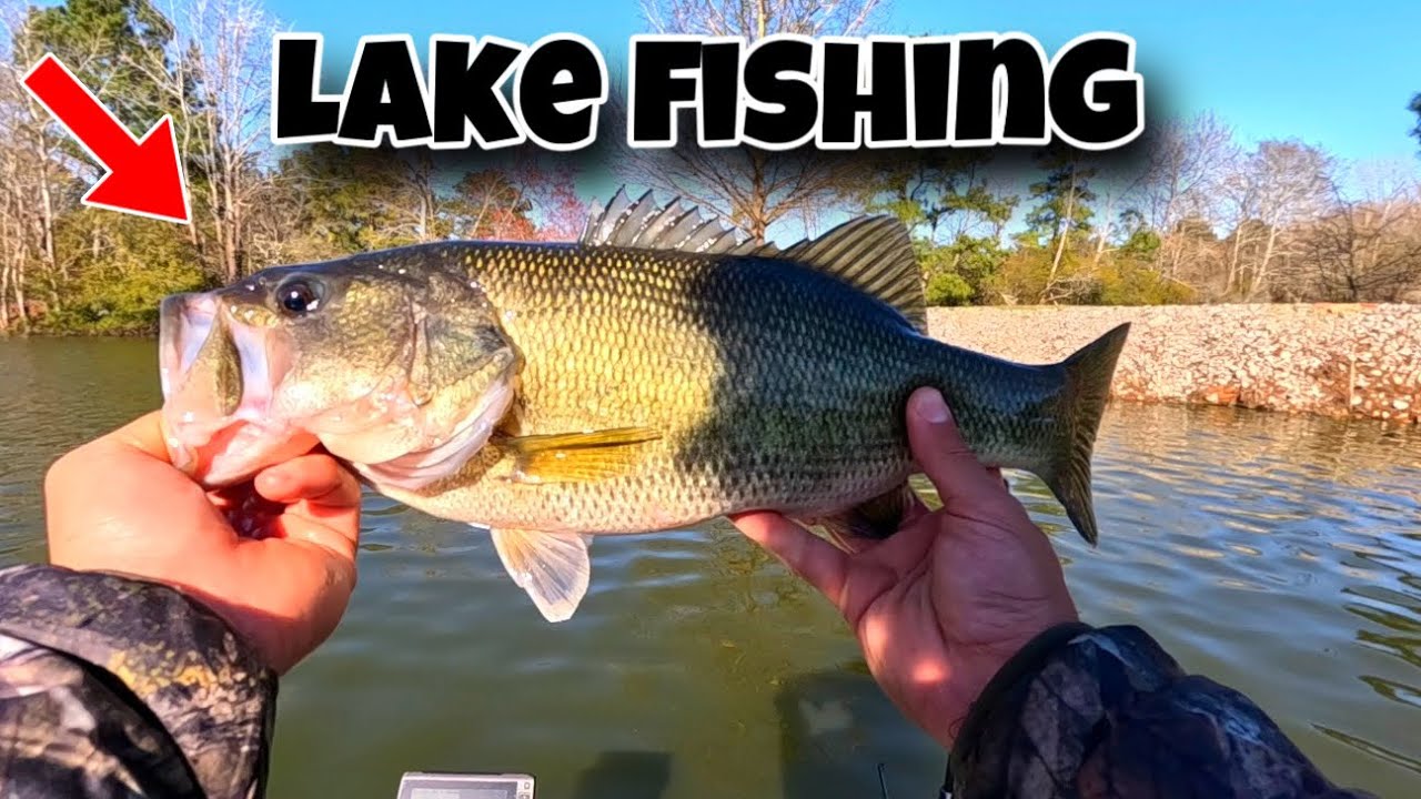 I Went Bass Fishing! They Pulled Up Shallow!