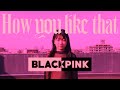 【BLACKPINK】 'How You Like That' DANCE PERFORMANCE VIDEO【踊ってみた】12歳