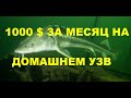 1000 $ ЗА МЕСЯЦ НА ДОМАШНЕМ УЗВ