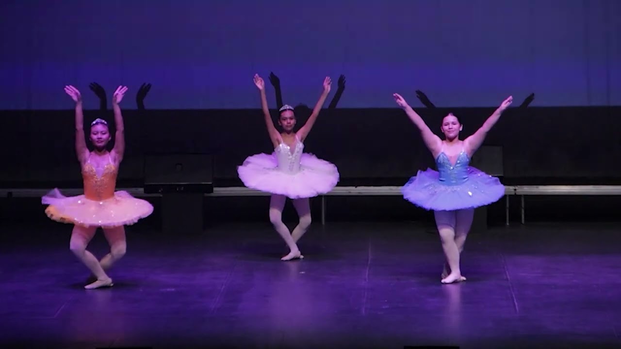 SEMILLA FEST 2025 - CASA DANZA