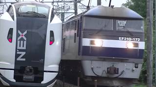 E259系とEF210貨物列車