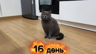 Очень приятно когда тебя встречают  любимые.