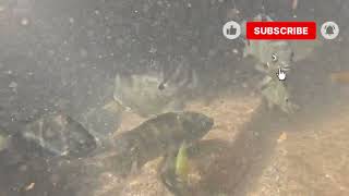 Fishing Fun Uvongo 030126