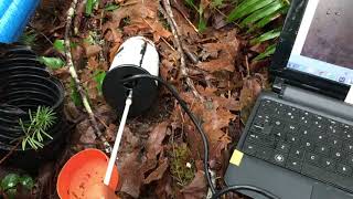 Root Scanning Movie Eeon