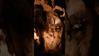 The Oldest Skeleton Ever Found in Britain! | Underground Marvels | Science Channel