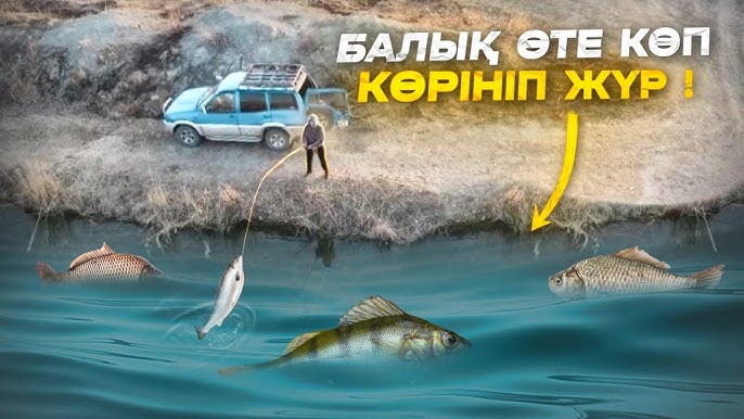 Ұл мен анасы онлайн көрген секс видео Алтай секс-орынының иелері адам саудасы үшін сотталады.