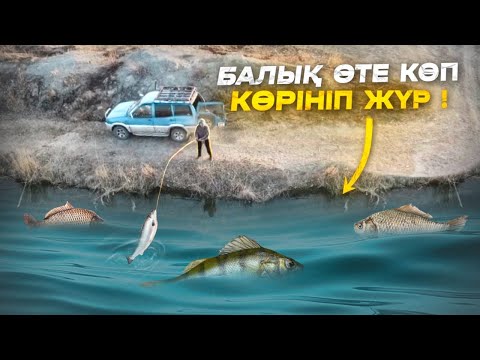 Ішіп алған орыс әйелді екі адам жаттықтырды