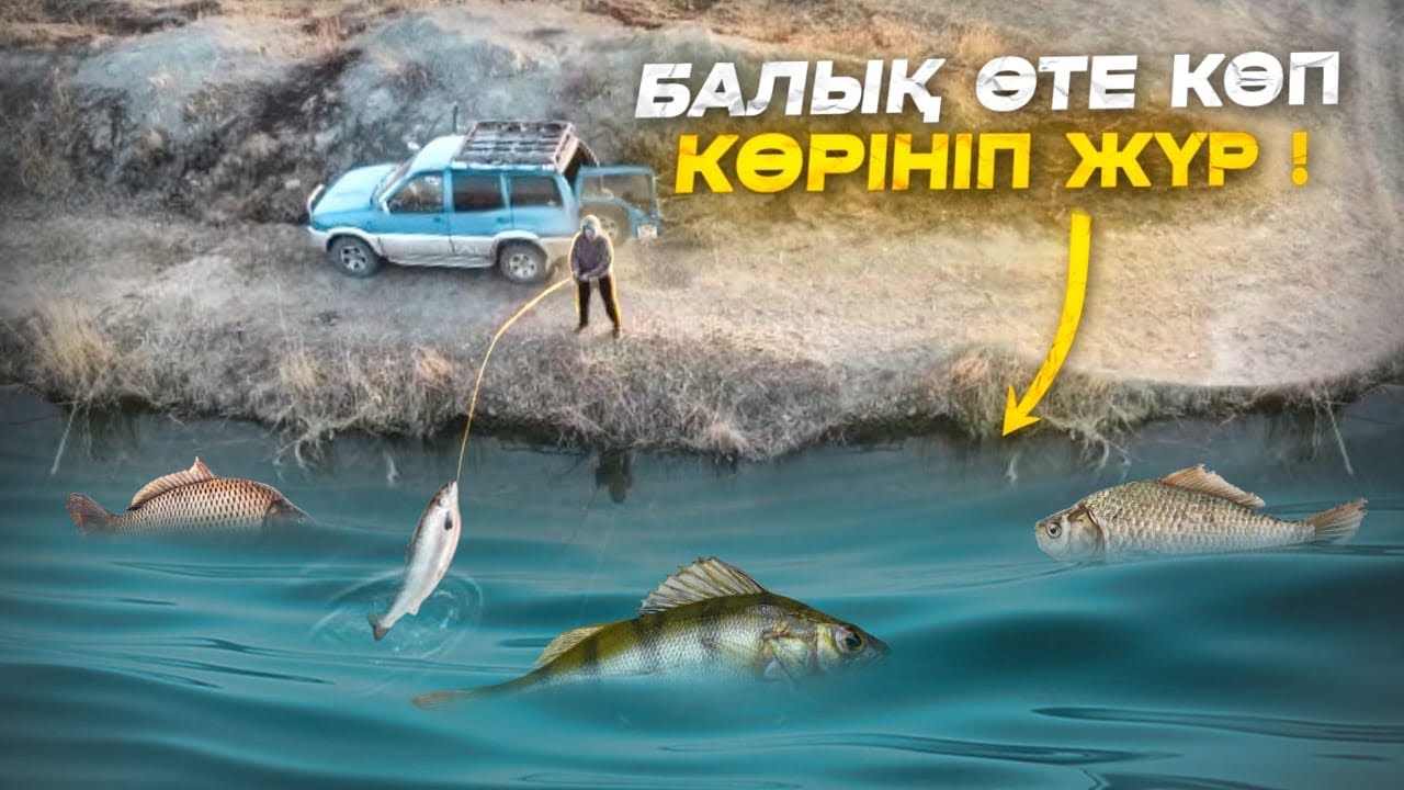 БАЛЫҚ КӨП, КӨРІНІП ЖҮР!😱 Көктемнің алғашқы балық аулауы. ЖЫЛАНБАЛЫҚ, САЗАН.