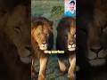 KING SCAR🦁| इतिहास का सबसे खूंखार और प्रसिद्ध शेर | #animals​ #scrarfacelion​ #kingscrar​ #shorts​