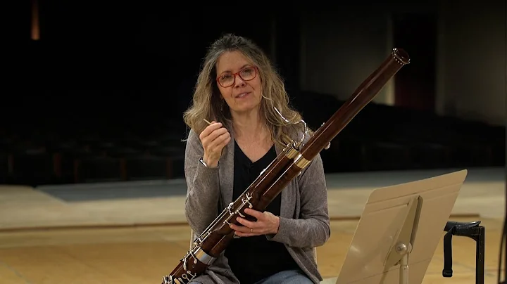 Meet the Bassoon: Suzanne Nelsen