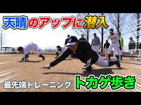 草野球日本一…天晴の試合前アップ！股関節と肩甲骨が連動する「トカゲ歩き」！