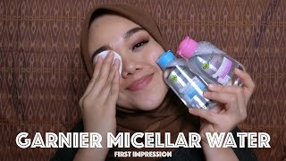 Garnier 2 in 1 Make Up Remover review.