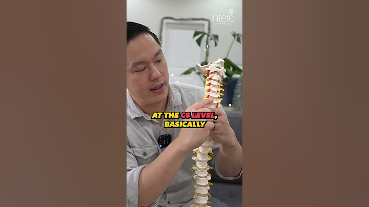 The Truth About A Chiropractic Y-Strap