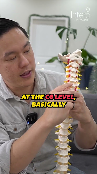 The Truth About A Chiropractic Y-Strap