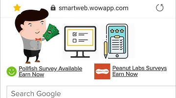 Latest Version WowApp SmartWeb - Paid Surveys Instantly [WowApp] | PollFish & Peanut Labs