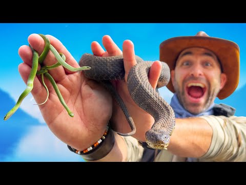 Would You Enter The Land of 1000 Snakes?!