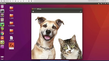 448 088 文件操作 01 文件操作套路以及Python中的对应函数和方法