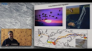 Nikita Chernetsov on Magnetic maps in migratory birds
