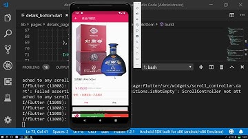 63 购物车 详细页显示购物车商品数量
