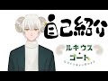 【自己紹介】これでデビューとさせて下さい【新人Vtuber】