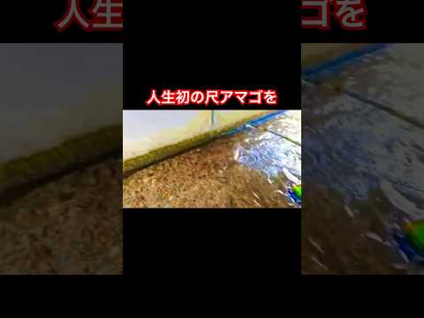 #用水路 #渓流釣り #fishing