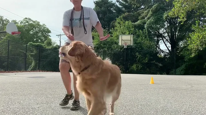 Heeling 090522