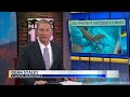 New Mexico Wildlife Center shares summer patient releases