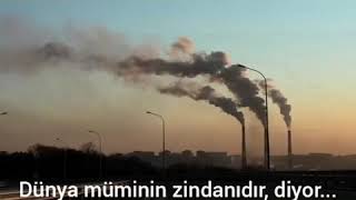 Fatih Hatipoğlu- Dünya müminin zindanıdır.. Resimi