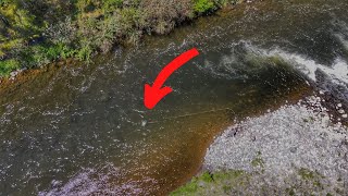 HOW TO FLY FISH Deep Water for TROUT [New Zealand]